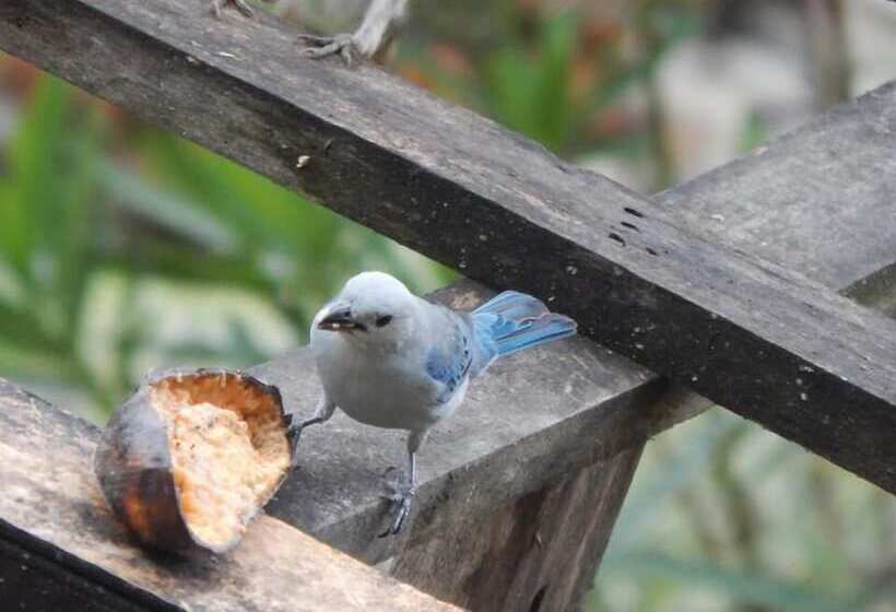 Finca Hotel La Rivera