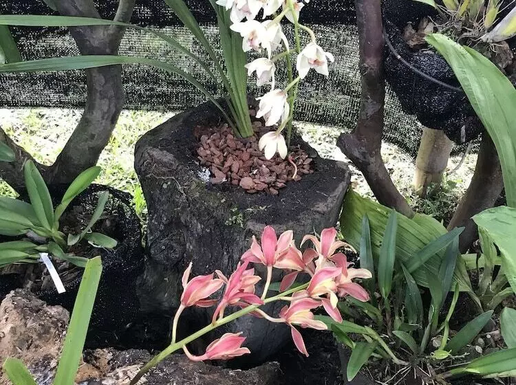 Finca Hotel La Rivera