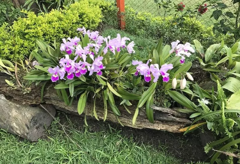 Finca Hotel La Rivera