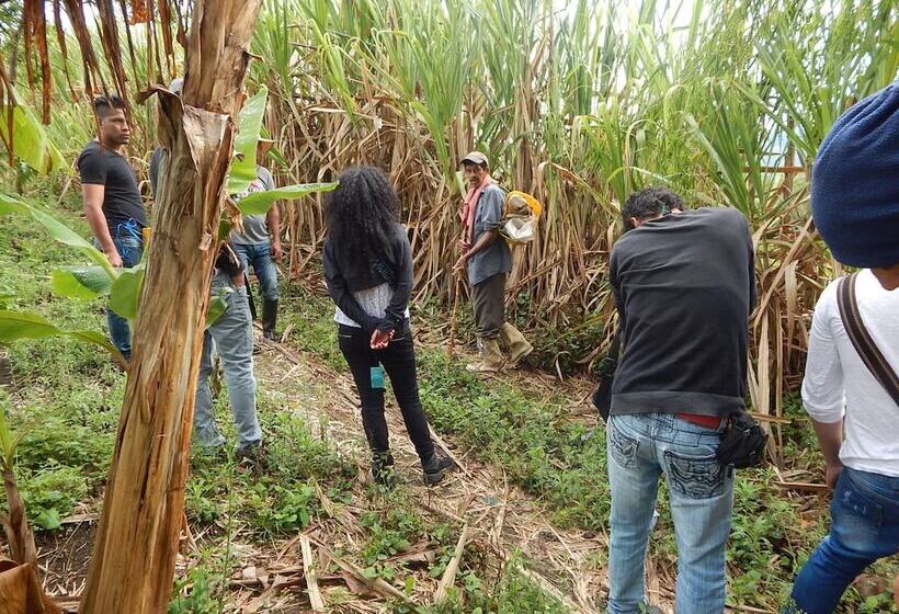 Finca Hotel La Rivera