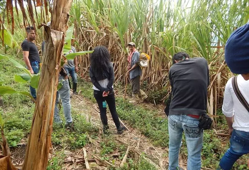 Finca Hotel La Rivera