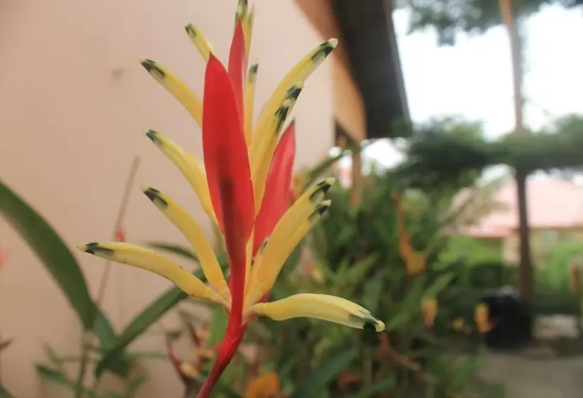 Hotelli Chenang Inn