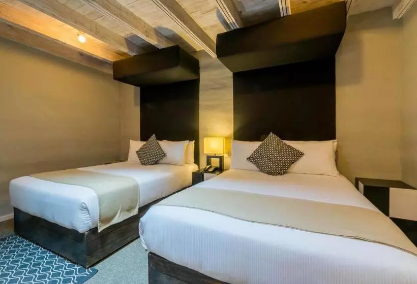 Отель Damiana Boutique