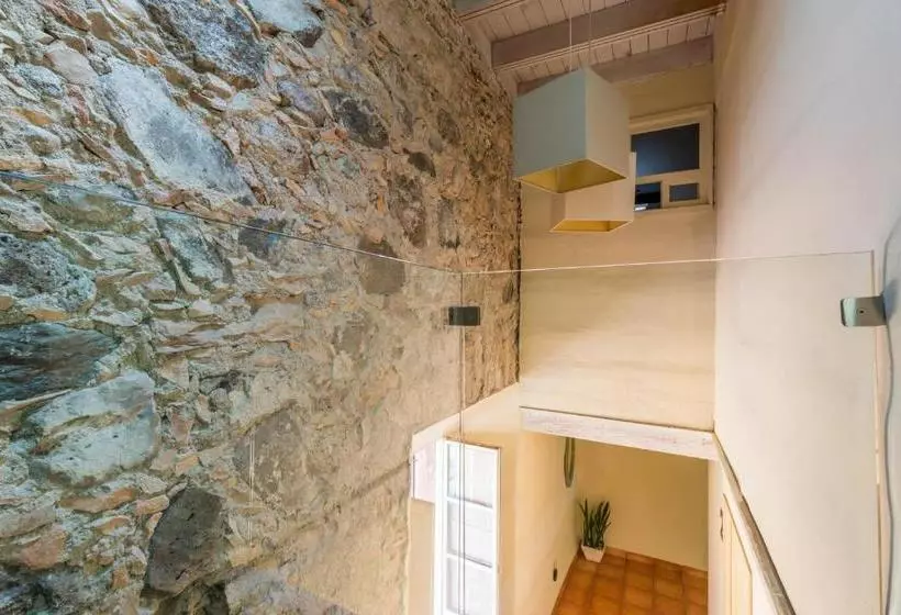 Отель Damiana Boutique