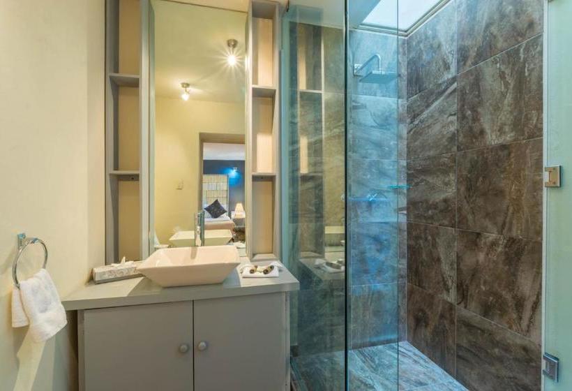 Отель Damiana Boutique