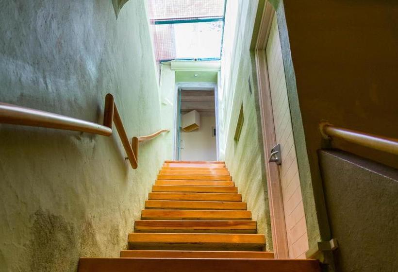 Отель Damiana Boutique