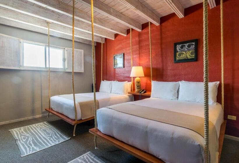 Отель Damiana Boutique