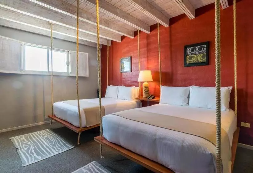 Отель Damiana Boutique