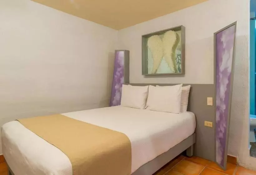 Отель Damiana Boutique