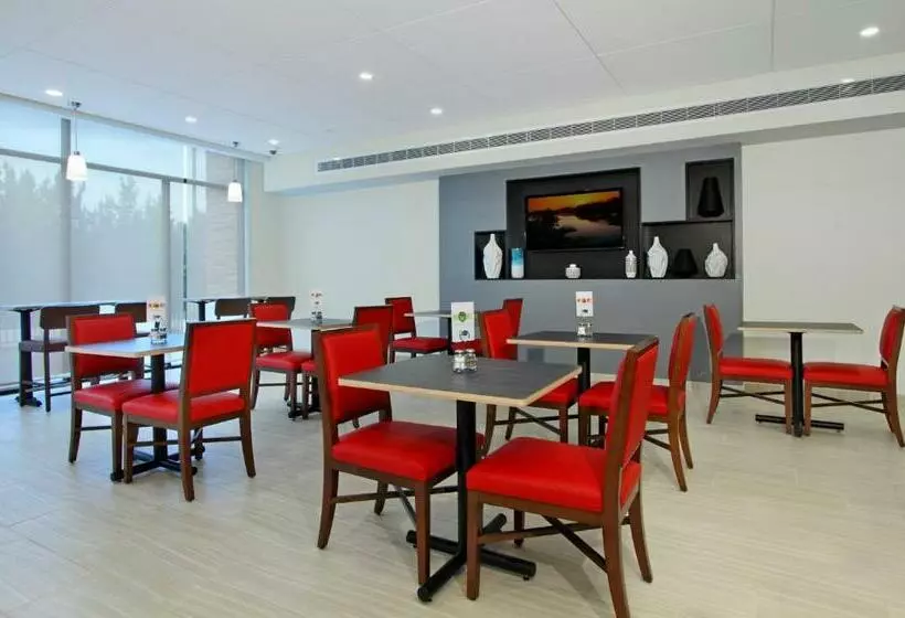 ホテル Holiday Inn Express Jasper, An Ihg