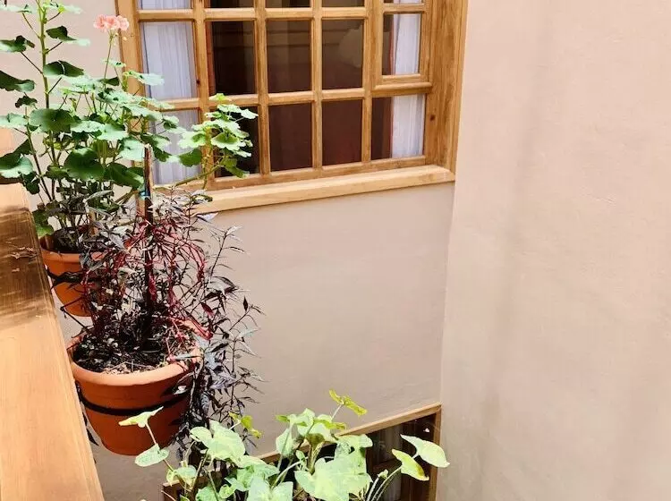 Отель La Casa De Mamá