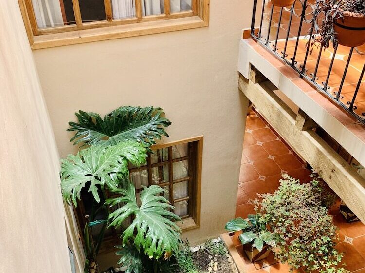 فندق La Casa De Mamá