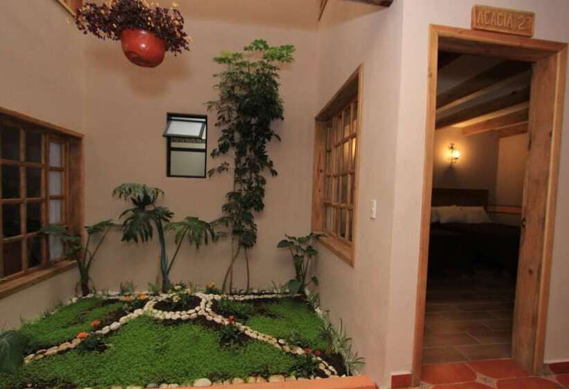 فندق La Casa De Mamá