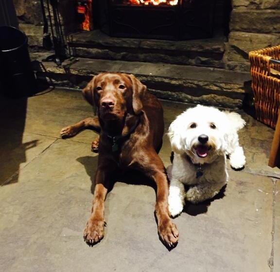 ホテル The Sycamore Inn