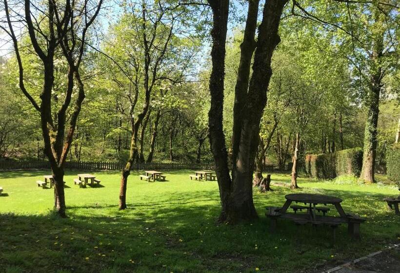 ホテル The Sycamore Inn