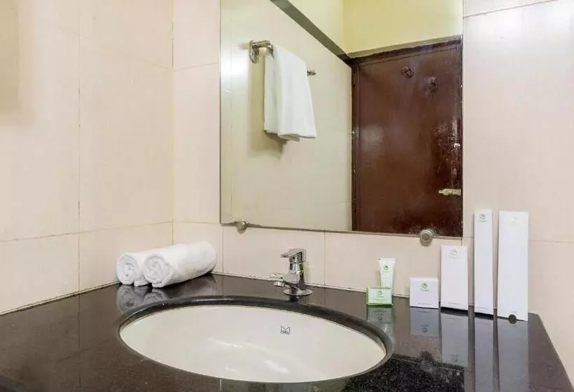 فندق Treebo Green Park