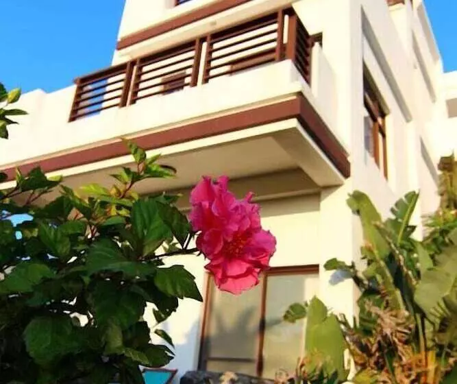 تختخواب و صبحانه Ibali Hostel