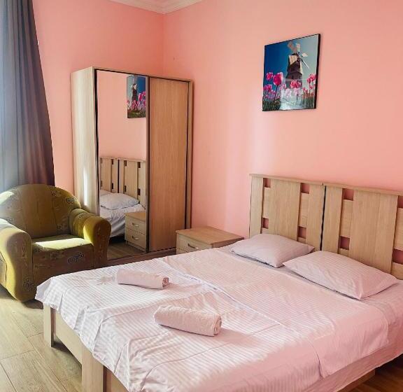 هتل Albatros Shekvetili