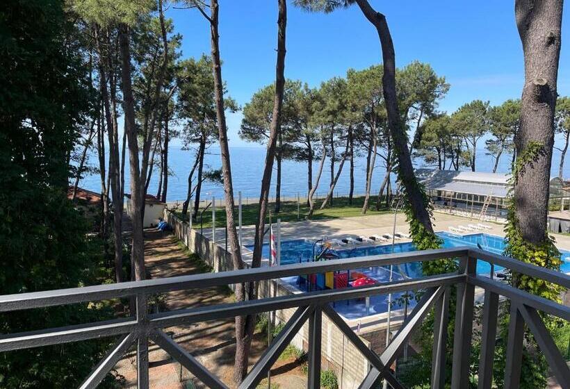 هتل Albatros Shekvetili