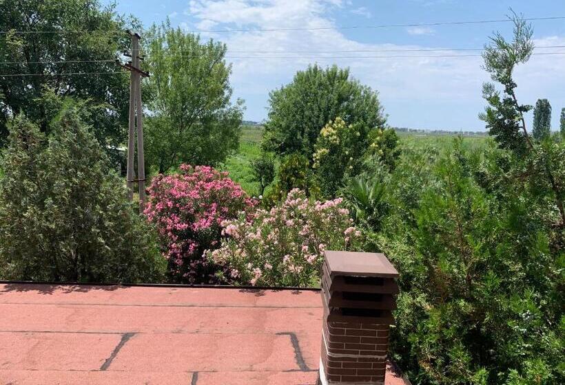 هتل Aragosta Shengjin