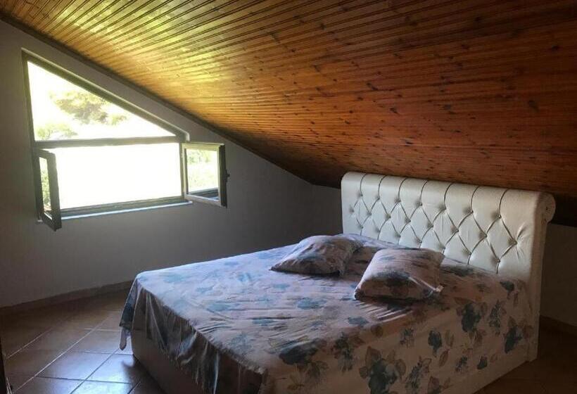 هتل Aragosta Shengjin