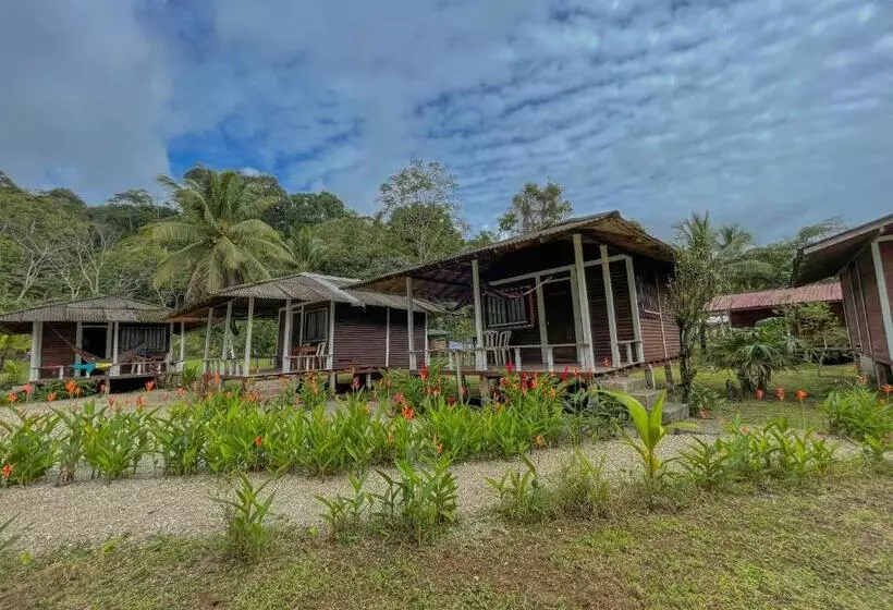 ホテル Posada Don Aí