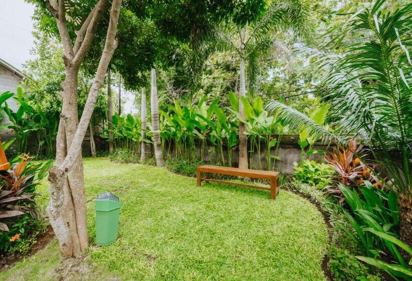 بنسيون Brisk Homestay