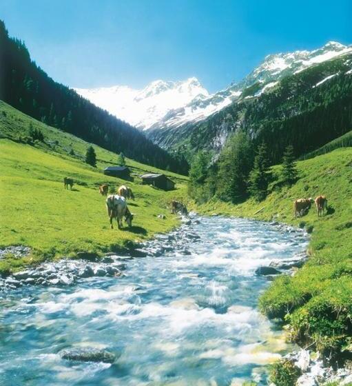 ペンション Gästehaus Waldruh