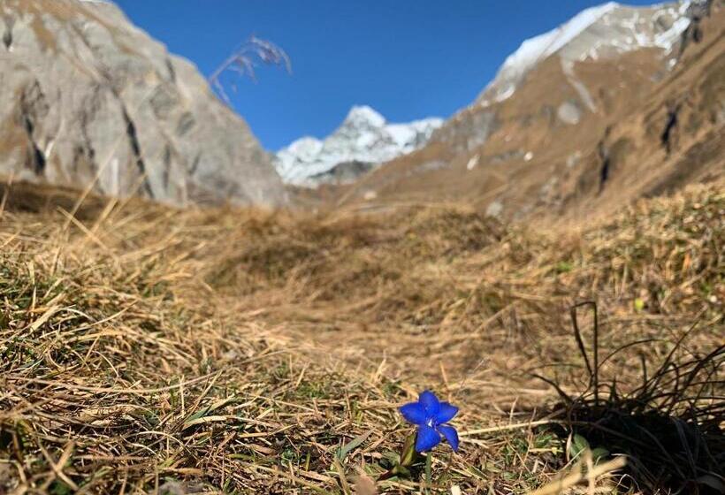 펜션 Gasthaus Oberweissen Hittl