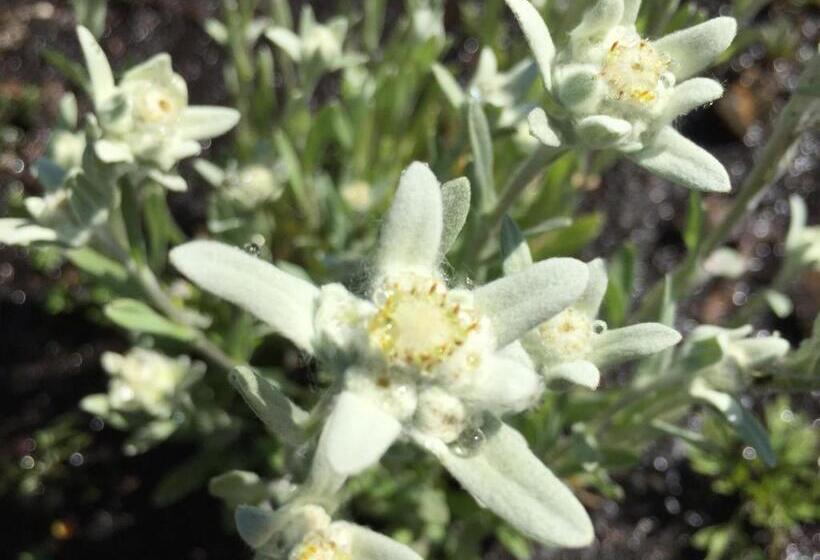 펜션 Gasthaus Oberweissen Hittl