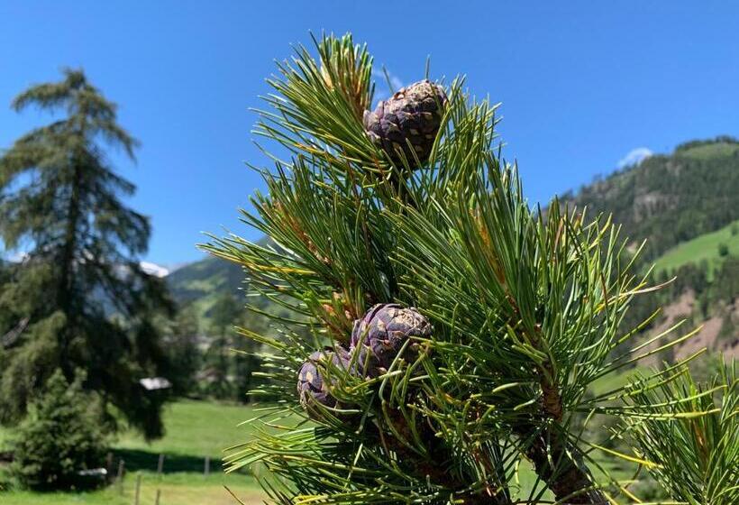 펜션 Gasthaus Oberweissen Hittl