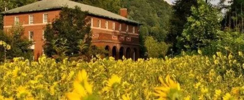 ベッドアンドブレックファースト Elkhorn Inn & Theatre