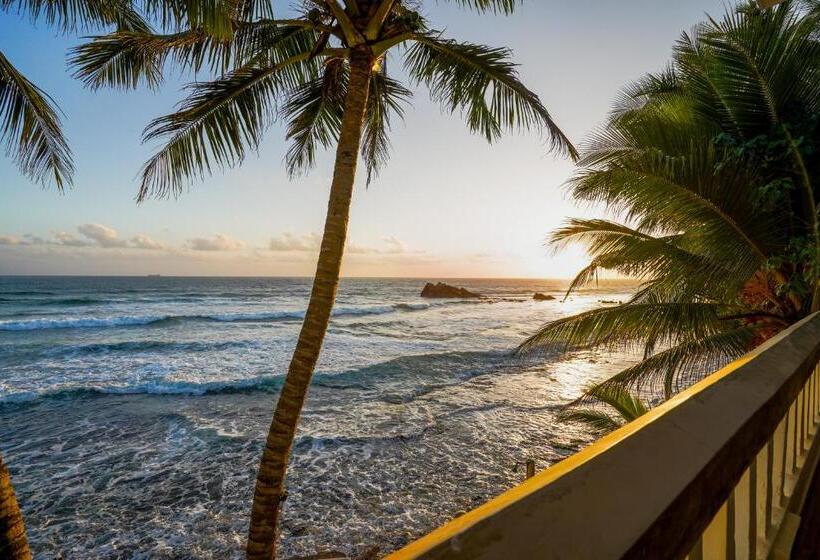 酒店 Blue Sky Beach Resort