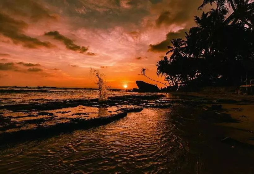 בית מלון כפרי Blue Sky Beach Resort