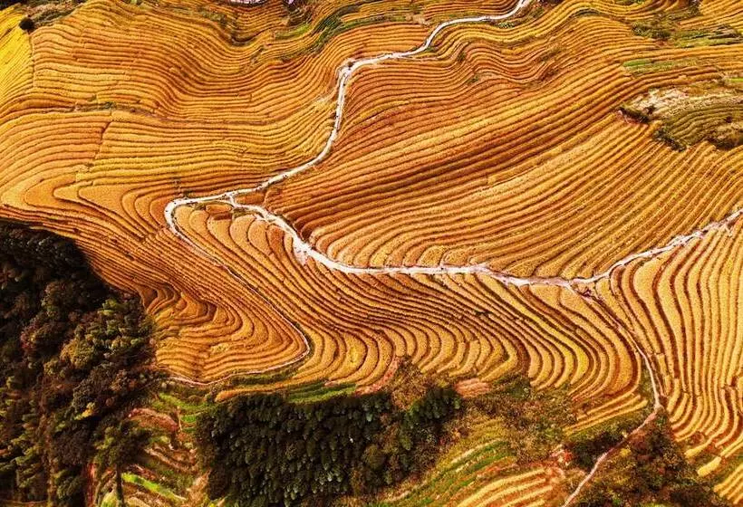 בית מלון כפרי Longji One Art