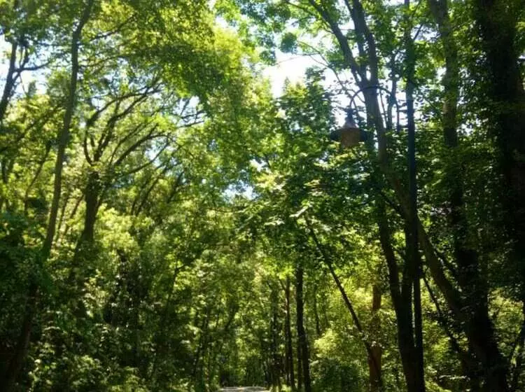 ホテル Qiao Garden Vacation