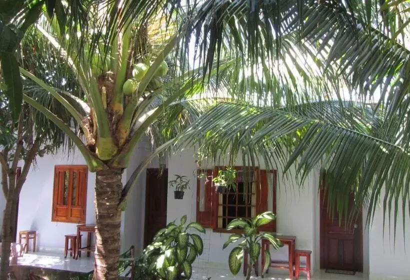 پانسیون Duc Thao Guest House