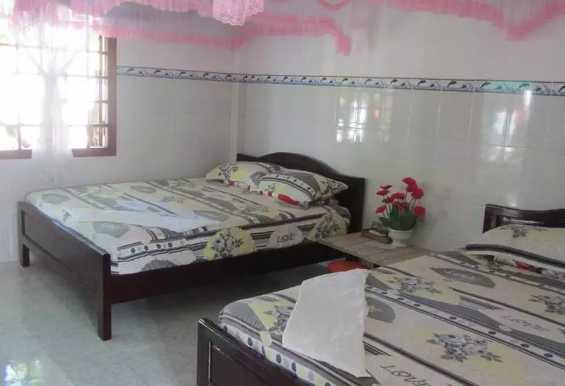 پانسیون Duc Thao Guest House