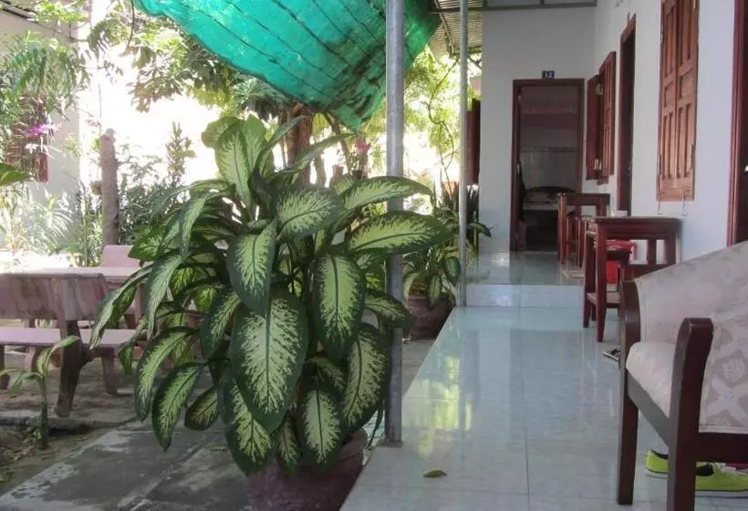 پانسیون Duc Thao Guest House