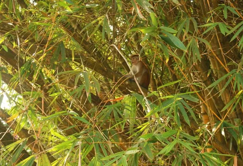 پانسیون La Villa Guest House