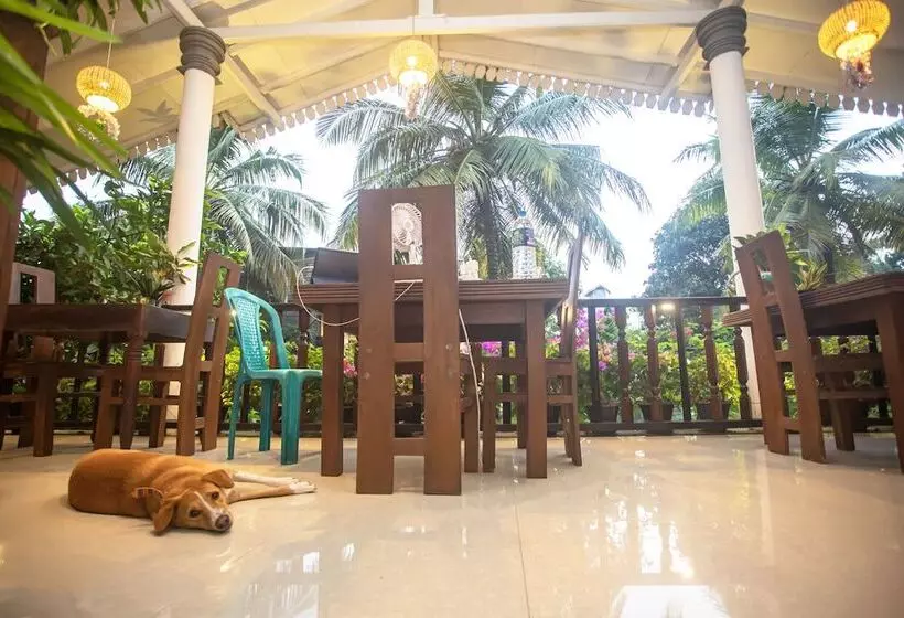 پانسیون La Villa Guest House