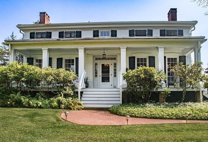 The Neighbour House B&b