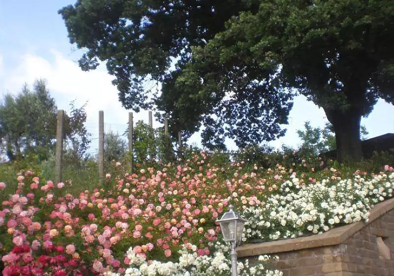 Agriturismo Colle Delle Querce