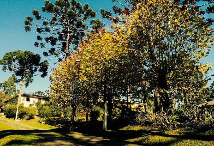 Confiance Hotel E Lazer