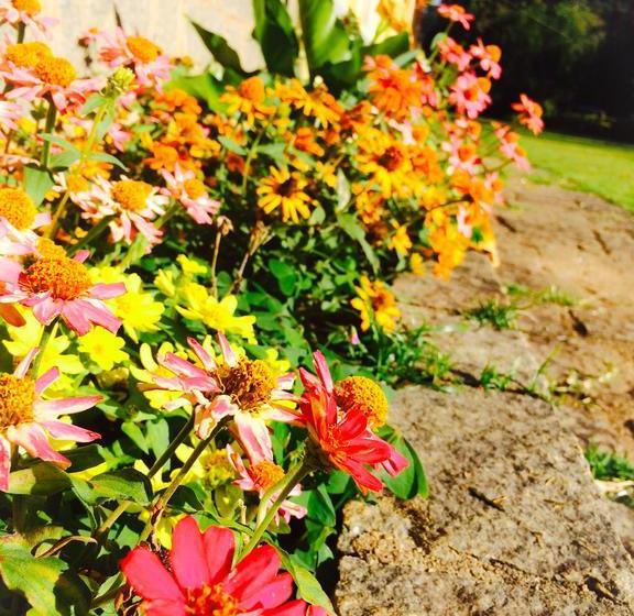 Confiance Hotel E Lazer