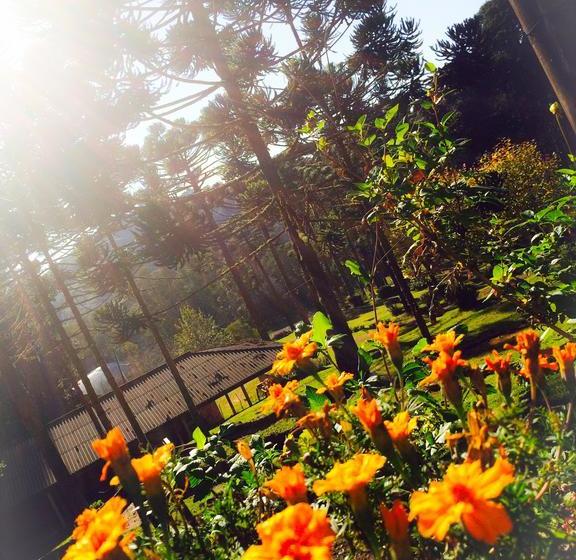 Confiance Hotel E Lazer