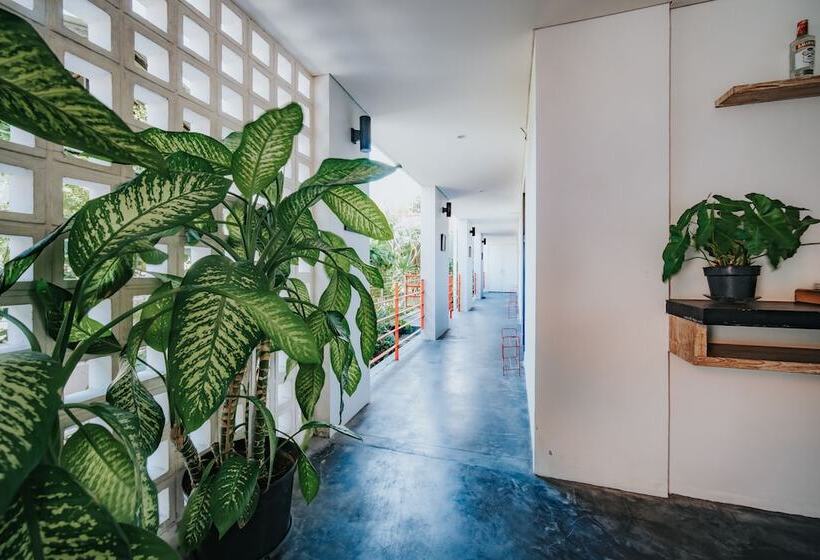 בית מלון כפרי Allia Residence