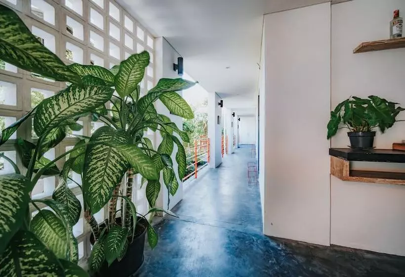 Hotelli Allia Residence