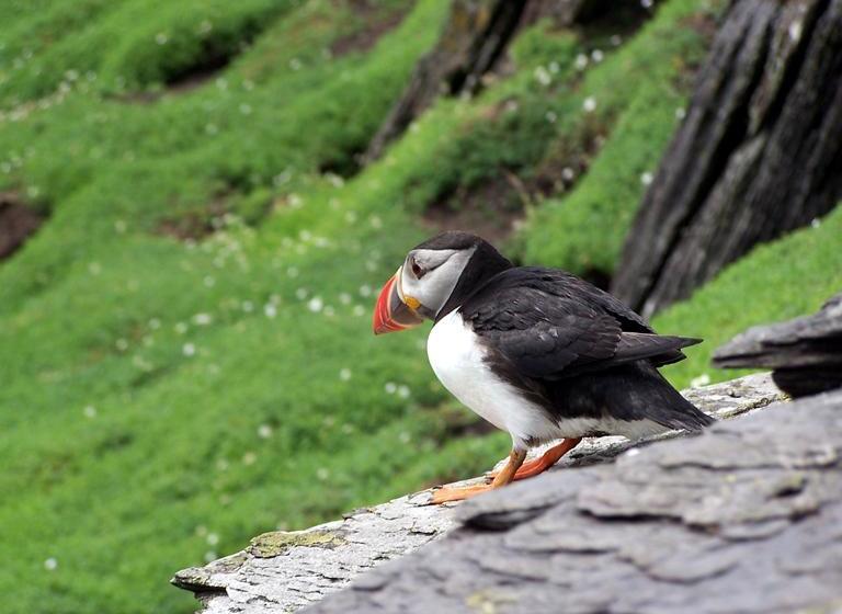 فندق Golf Links View Bed&Breakfast