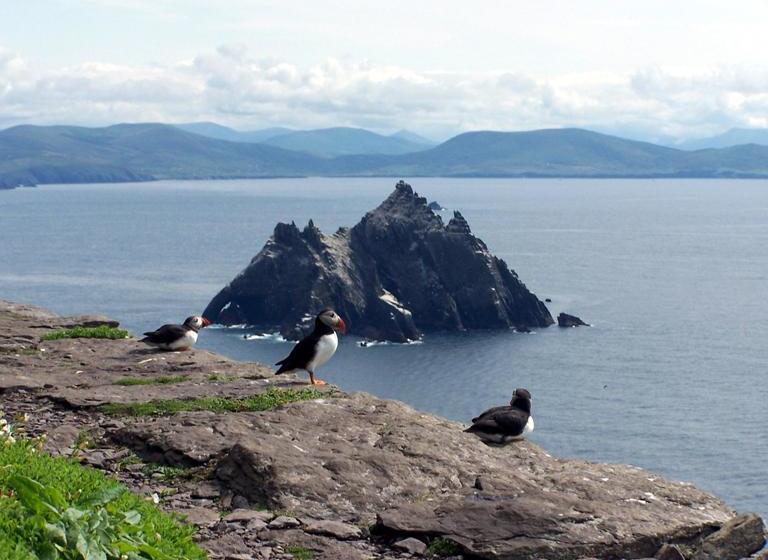 فندق Golf Links View Bed&Breakfast